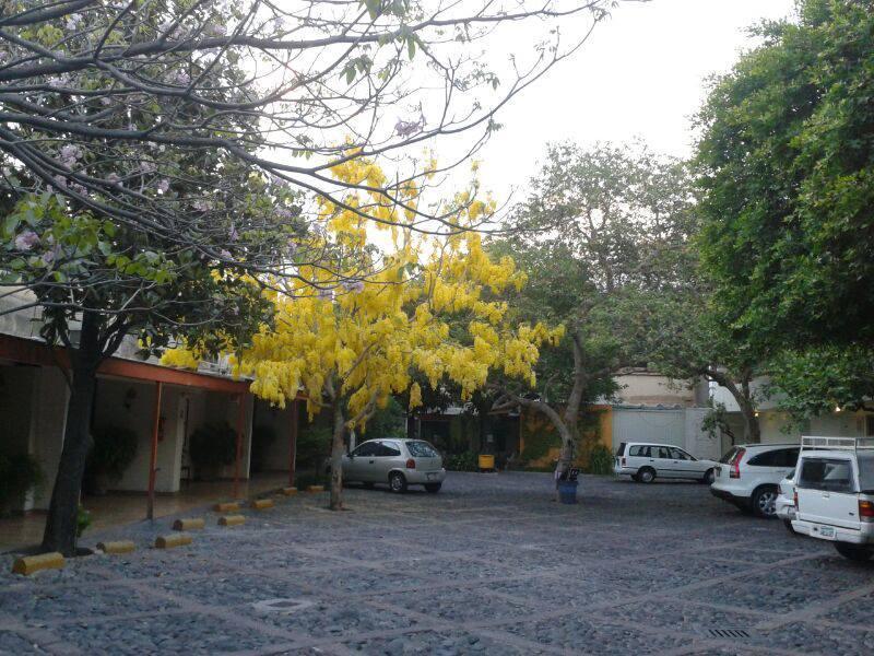Hotel Isabel Guadalajara Eksteriør billede